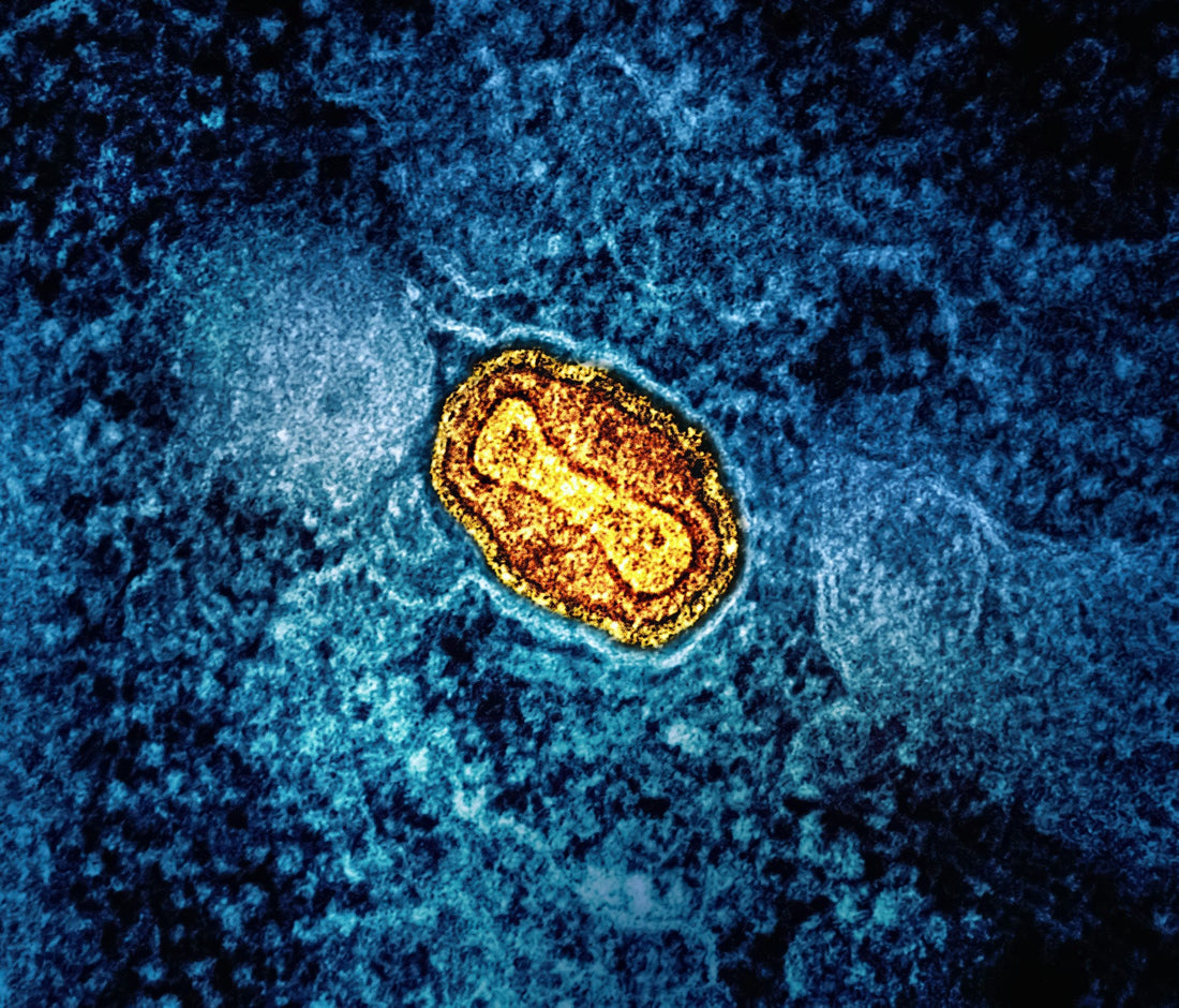 MOTS-C vs Metformin: Mitochondrial Research Compared