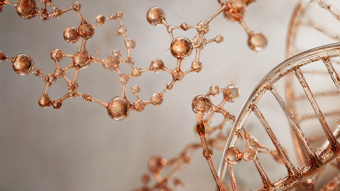 GHK-Cu: The Copper Peptide That Resets 4,000 Genes