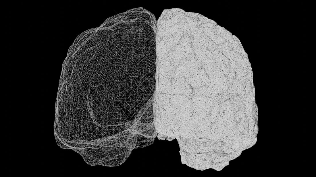 Semax vs Selank: The Russian Nootropic Stack That Balances Focus and Calm